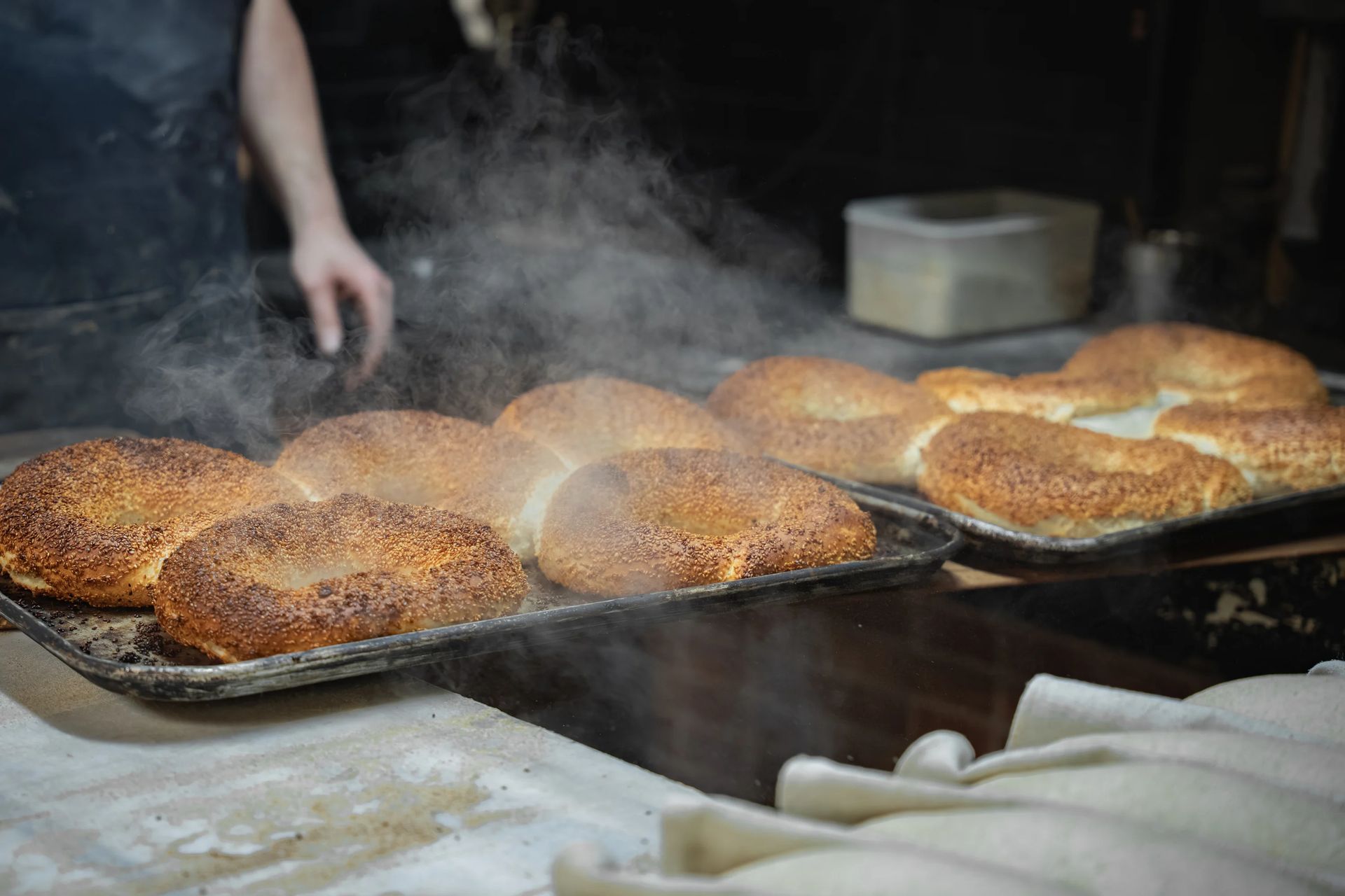 Fresh bagels on a bakery tray