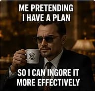Me pretending I have a plan so I can ignore it more effectively
